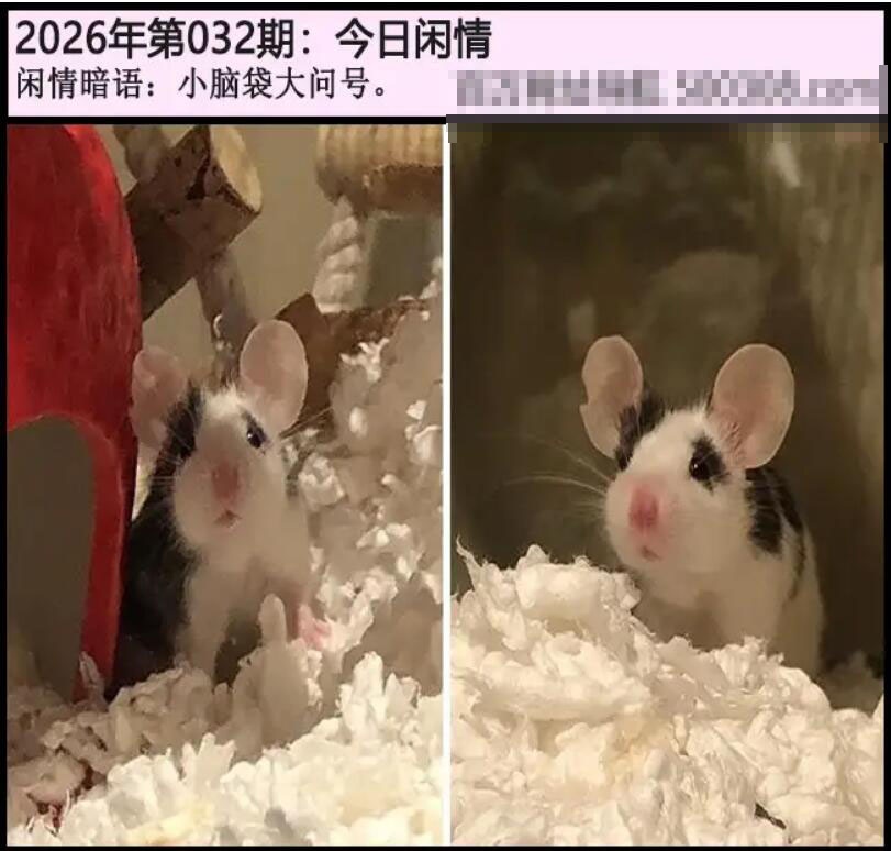 032期另版今日闲情[图]